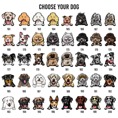 Personalized Pet Welcome Sign: Custom Dog & Cat Home Decor