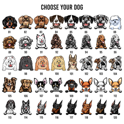 Personalized Pet Welcome Sign: Custom Dog & Cat Home Decor